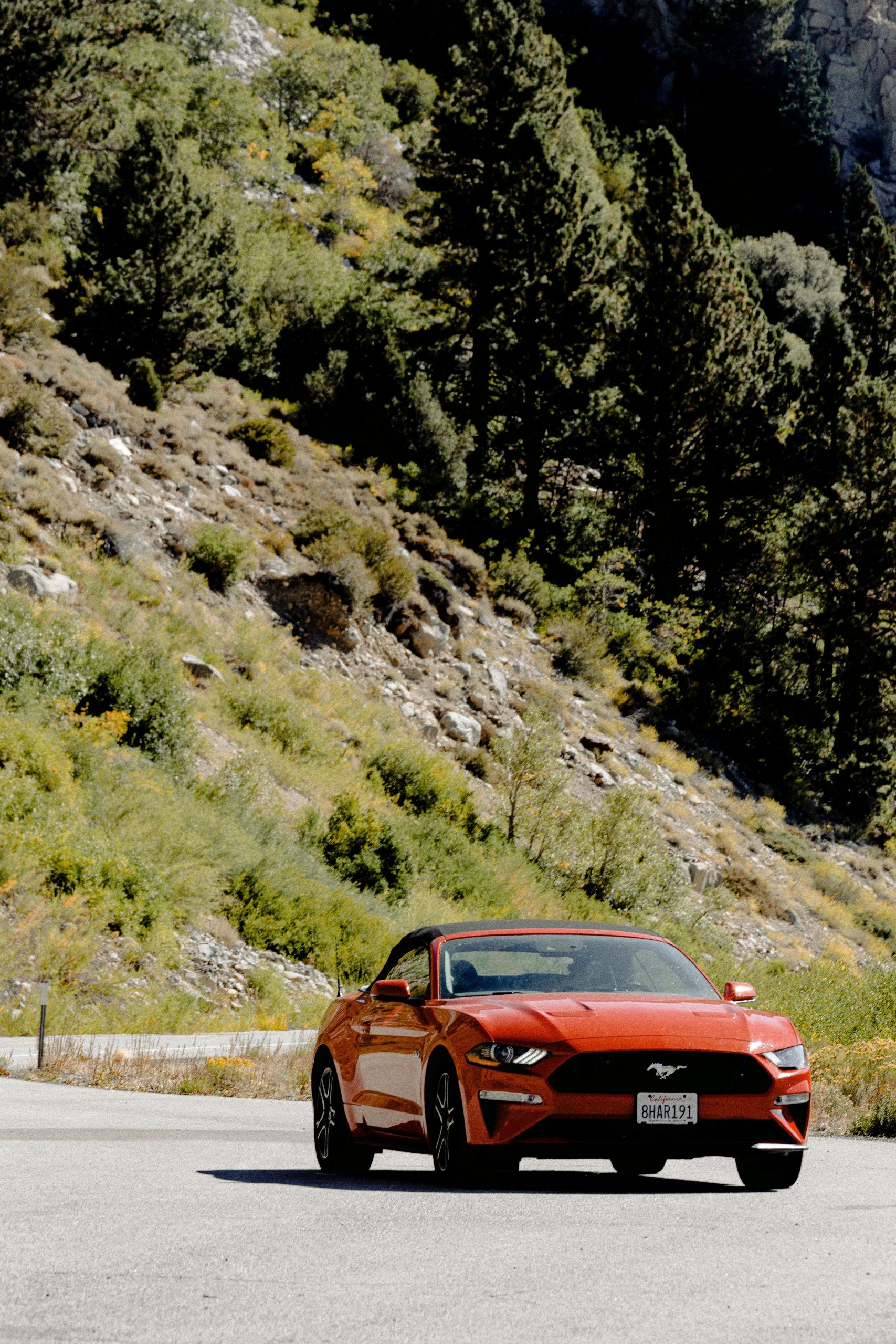 Mustang 5 portes Ford raison