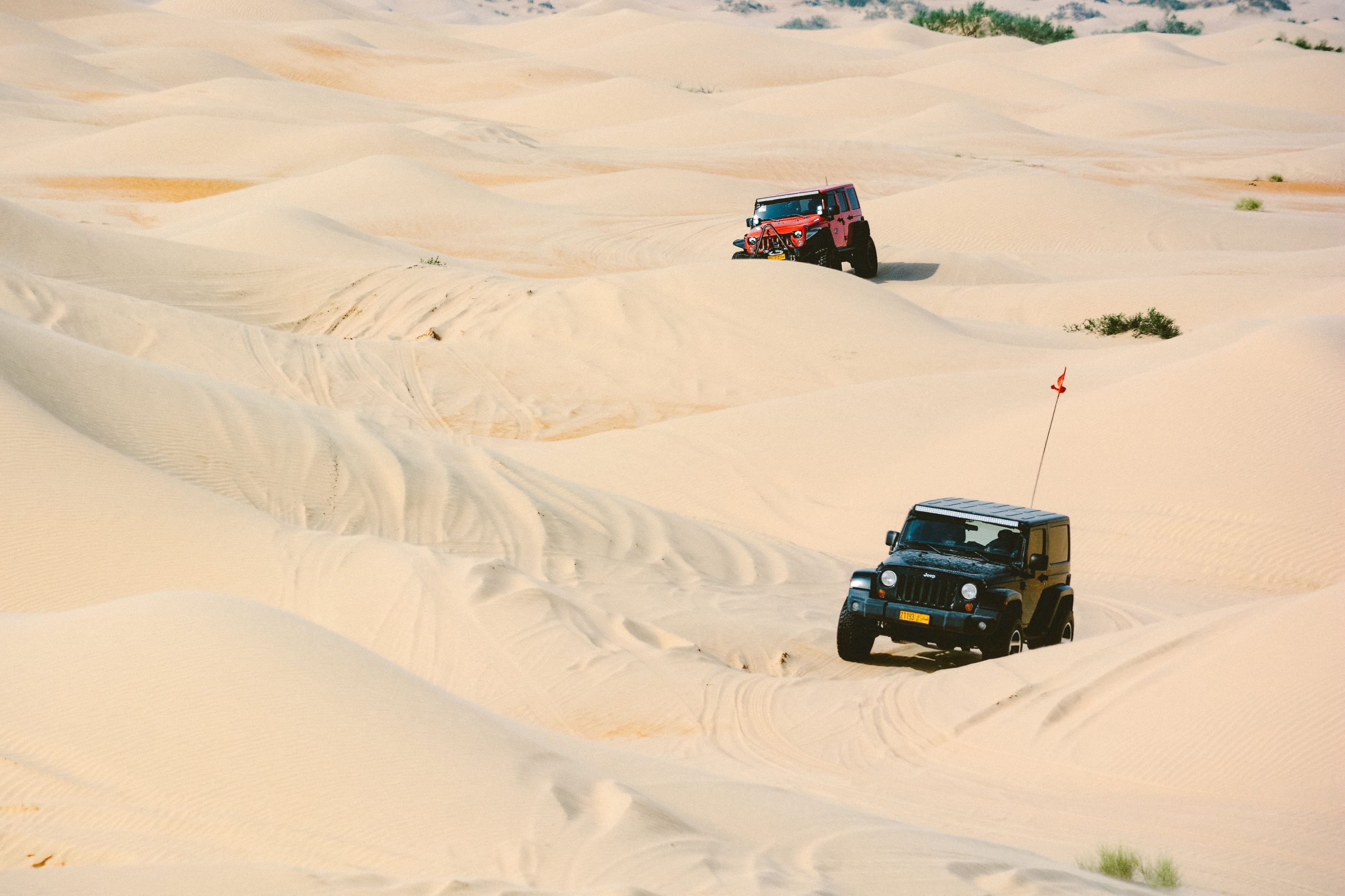 Deux 4x4 roulent sur des dunes de sable