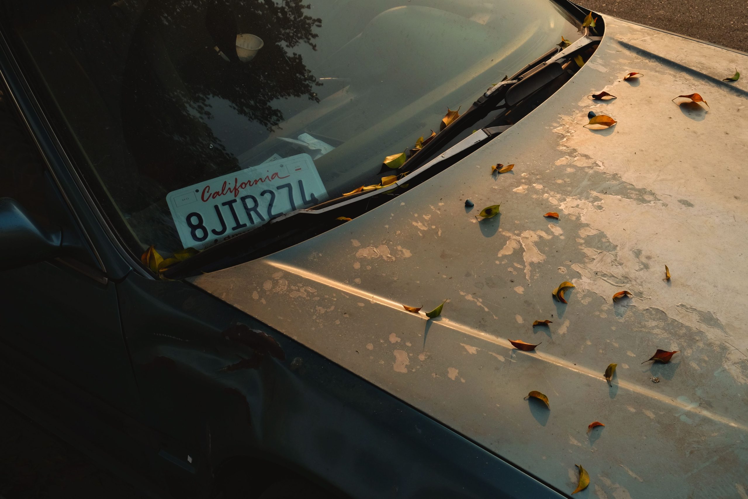 Voiture plaque immatriculation californienne coucher soleil