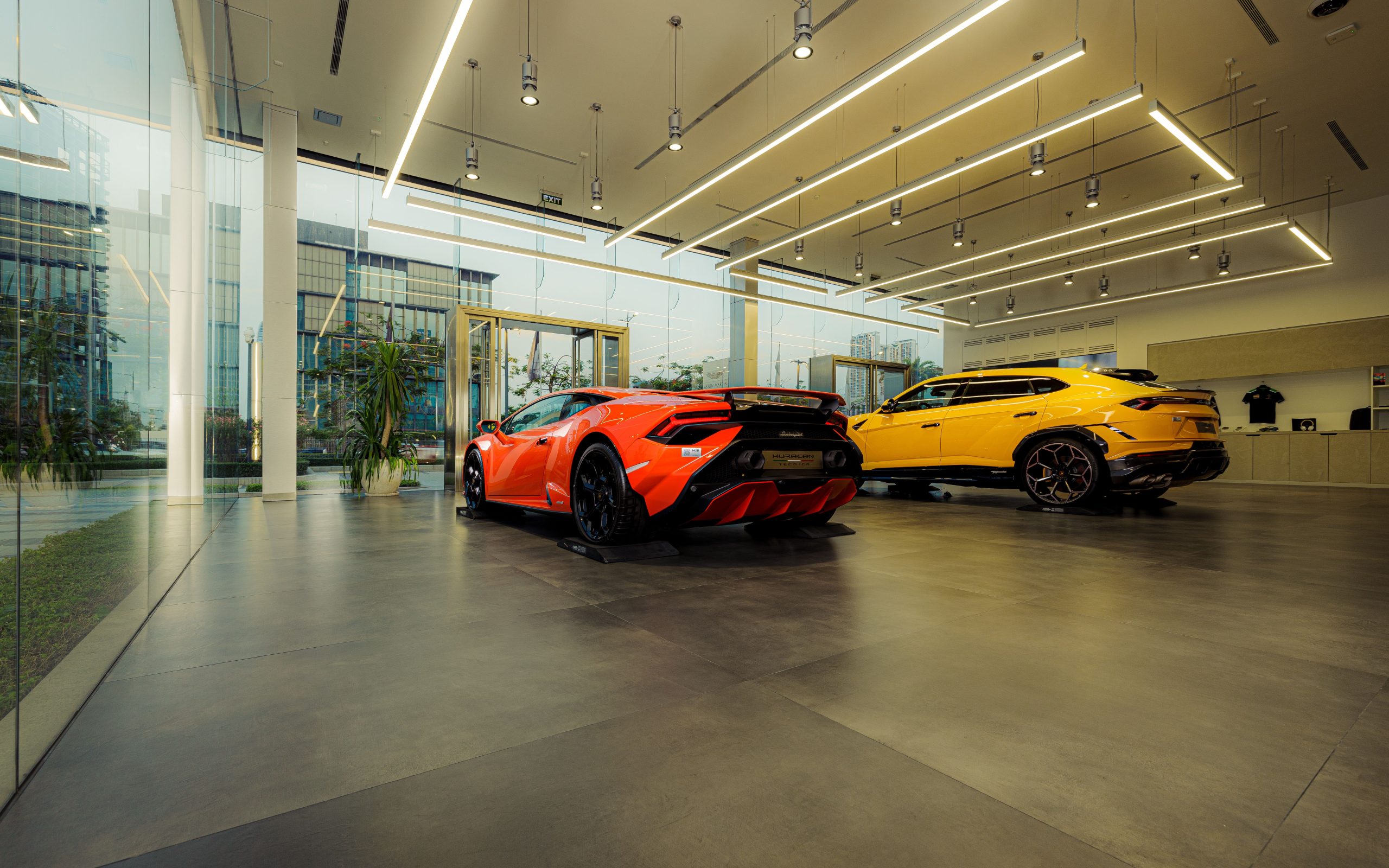 Lamborghini et sports cars en showroom