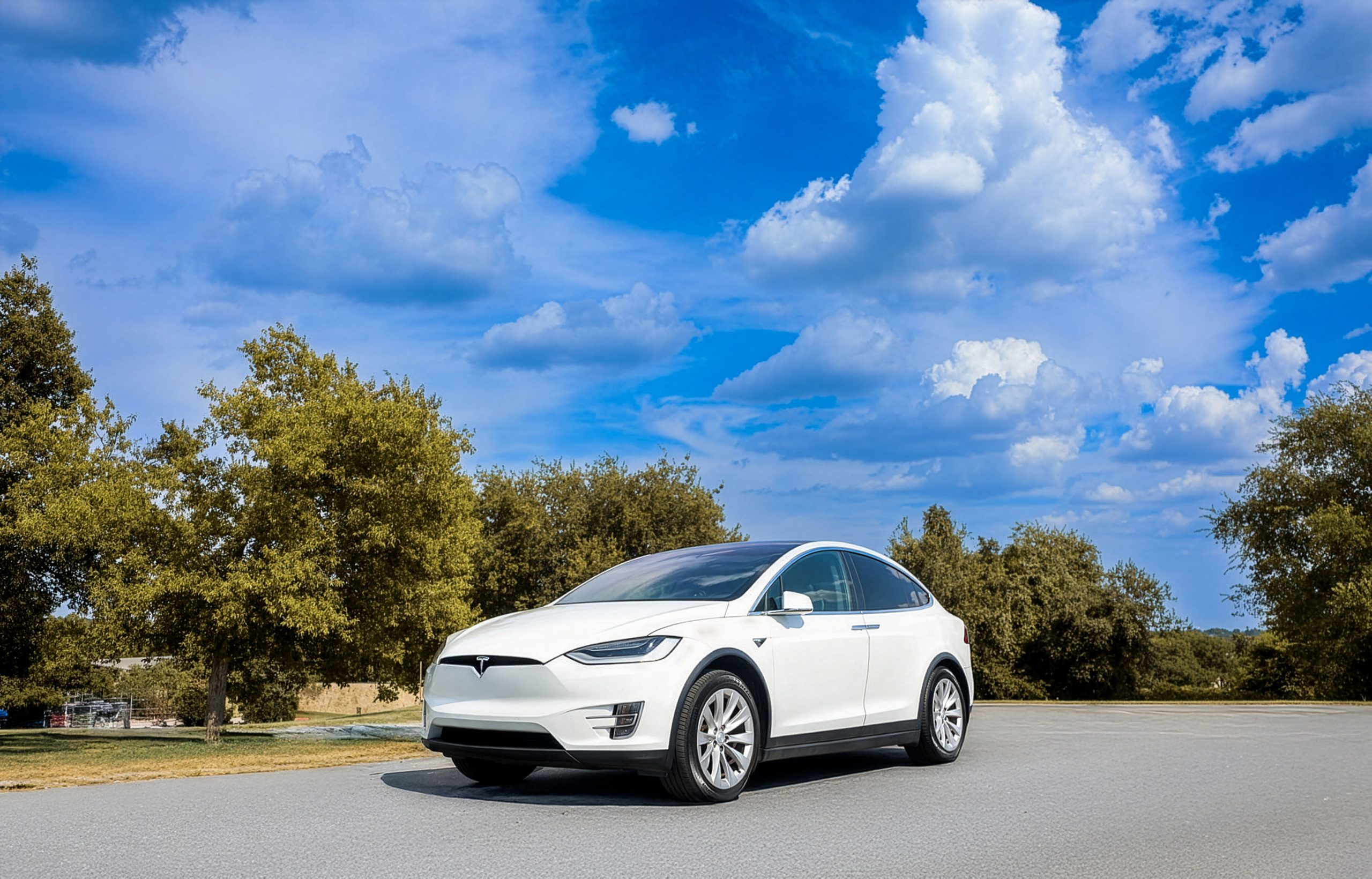 Voiture électrique blanche garée dans paysage naturel