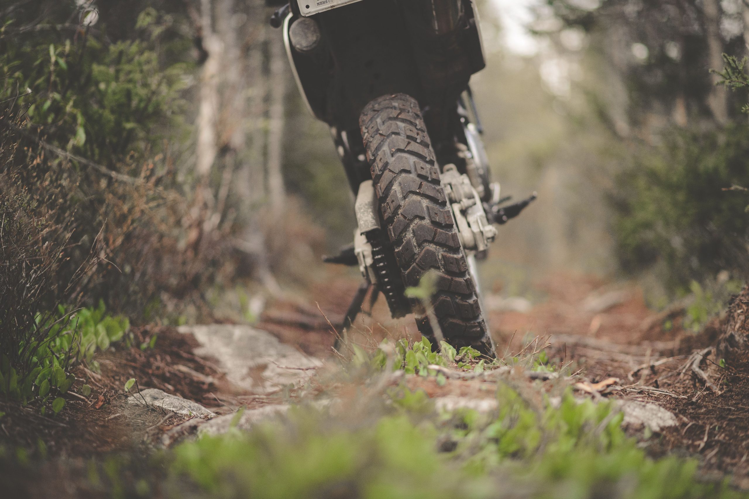 Pneu de moto sur un chemin forestier