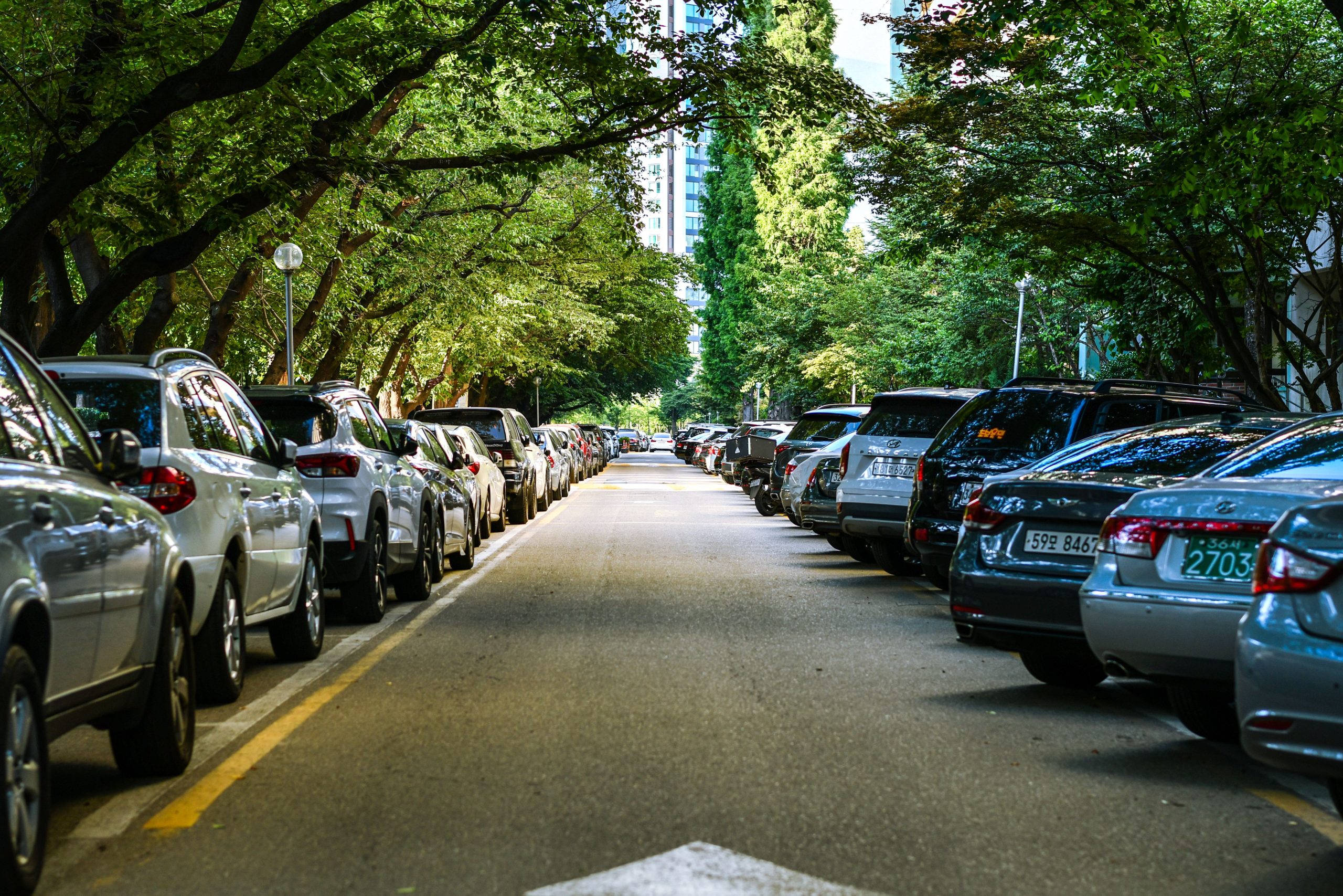 Rue arborée avec voitures et immeubles